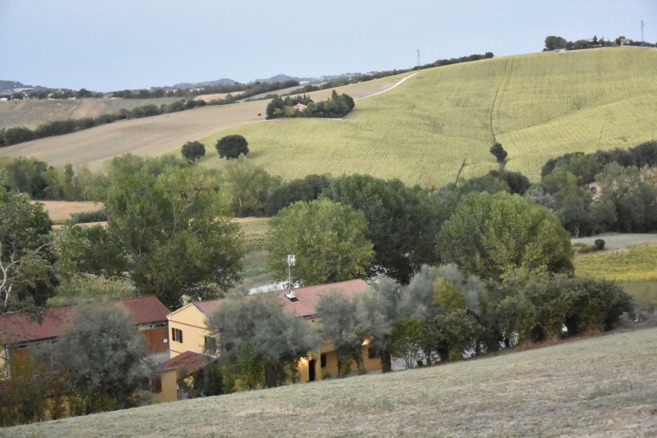 Agriturismo Fattoria Del Colle Villa Iesi Bagian luar foto