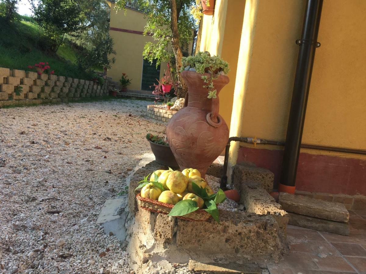 Agriturismo Fattoria Del Colle Iesi Bagian luar foto