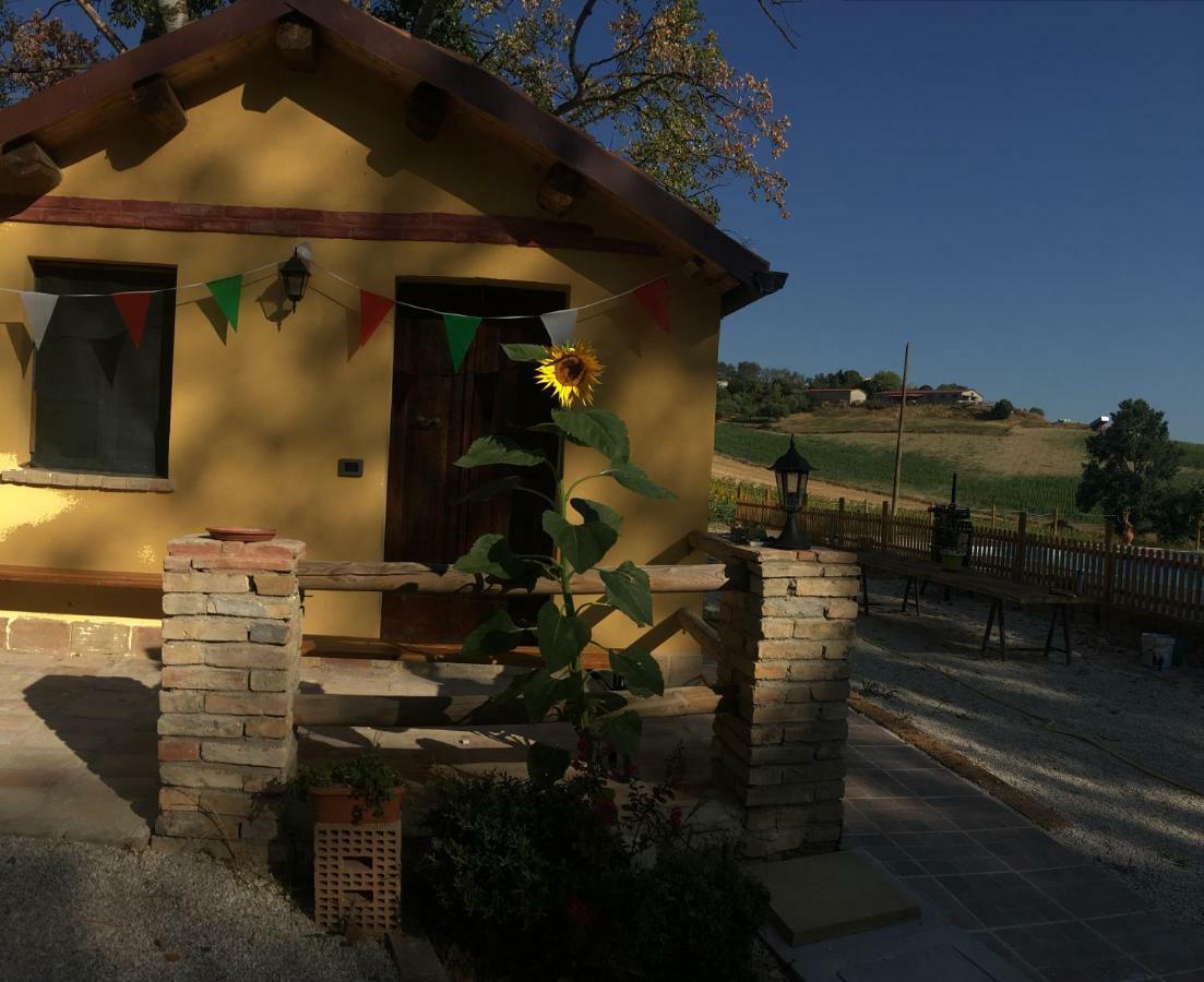 Agriturismo Fattoria Del Colle Iesi Bagian luar foto