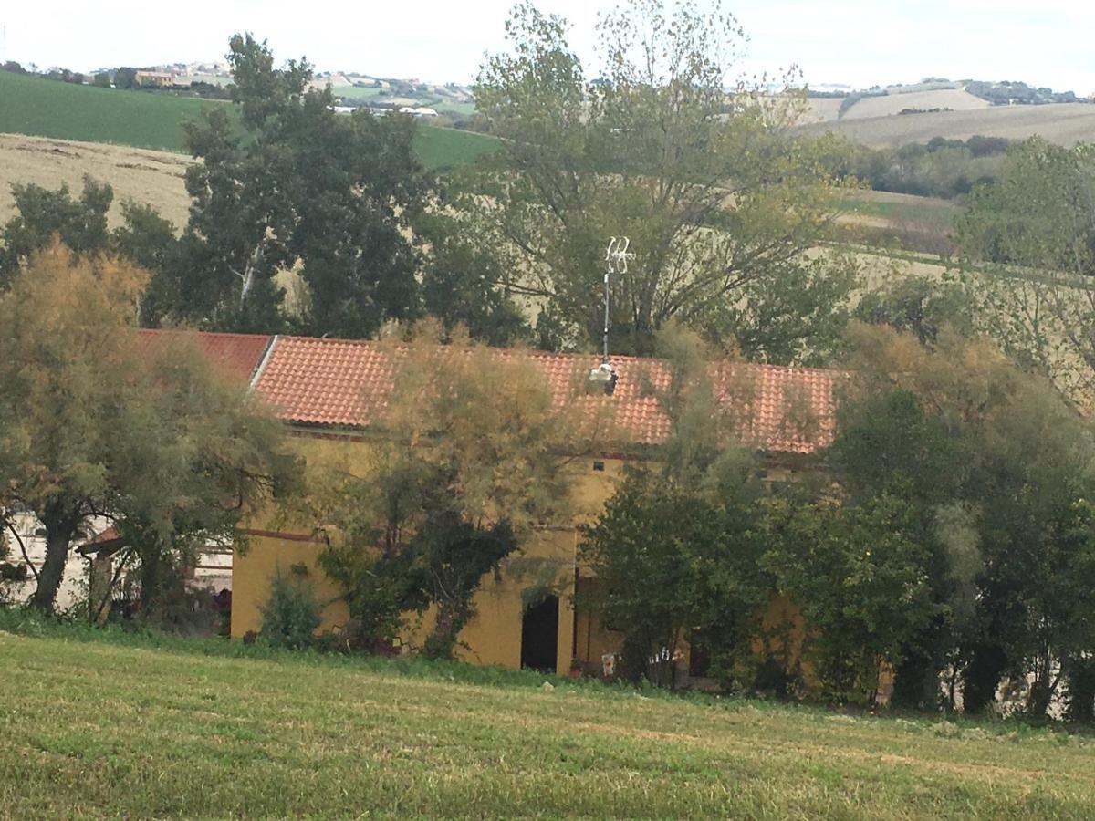 Agriturismo Fattoria Del Colle Iesi Bagian luar foto