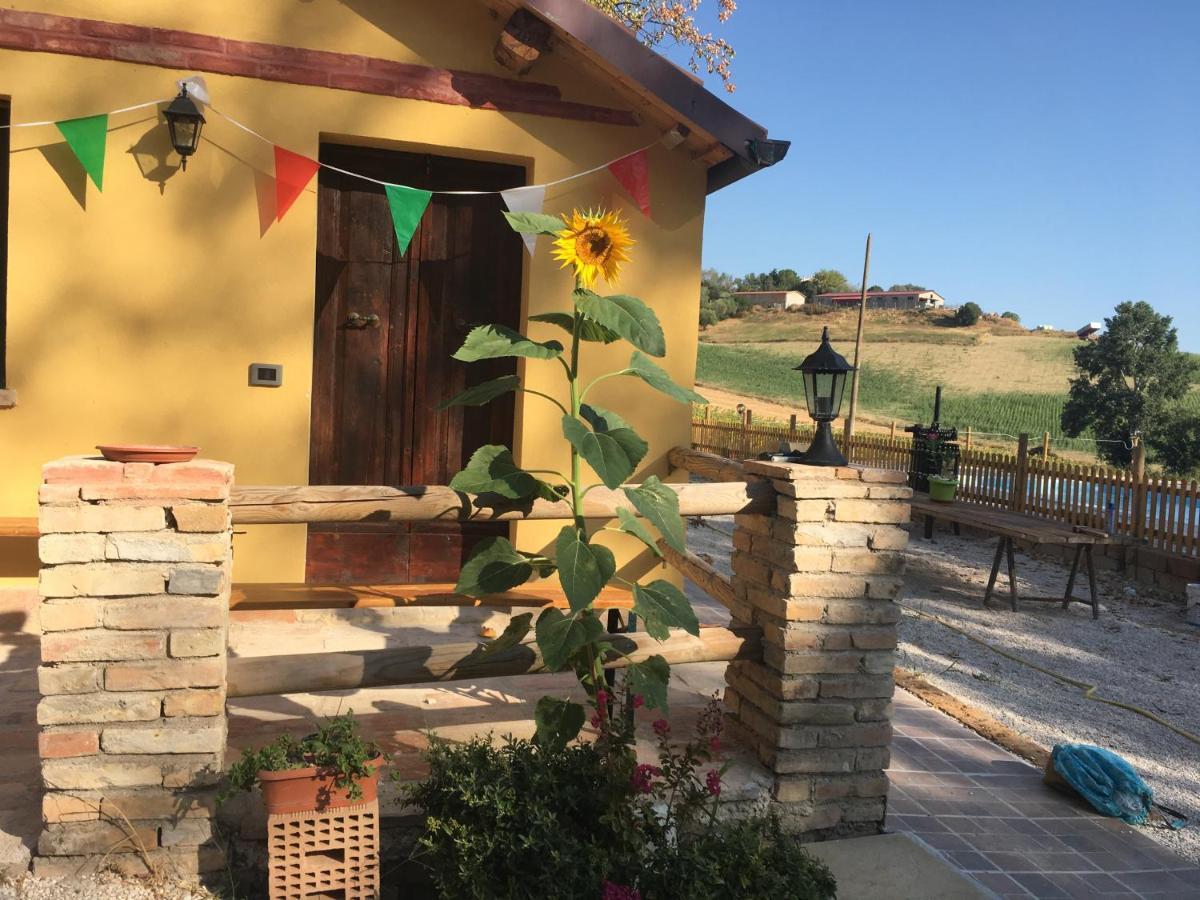 Agriturismo Fattoria Del Colle Iesi Bagian luar foto