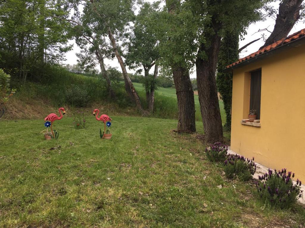 Agriturismo Fattoria Del Colle Iesi Bagian luar foto
